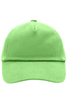 Lime-green (ca. Pantone 368C)