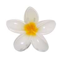 FLOR