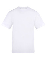 Arctic White